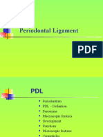 Periodontal Ligament