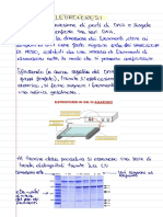 Tecnologie applicative dellingegneria genetica - 20200320_190656.pdf