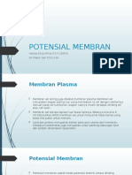 Potensial Membran