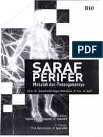Radial Nerve Entrapment PDF