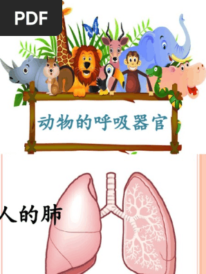呼吸器官四年级