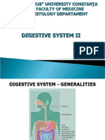 Lp6.digestive System Ii