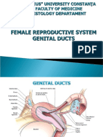 Lp9.female Reproductive System - Genital Ducts