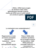 Perchè gli mRNA sono instabili.pptx