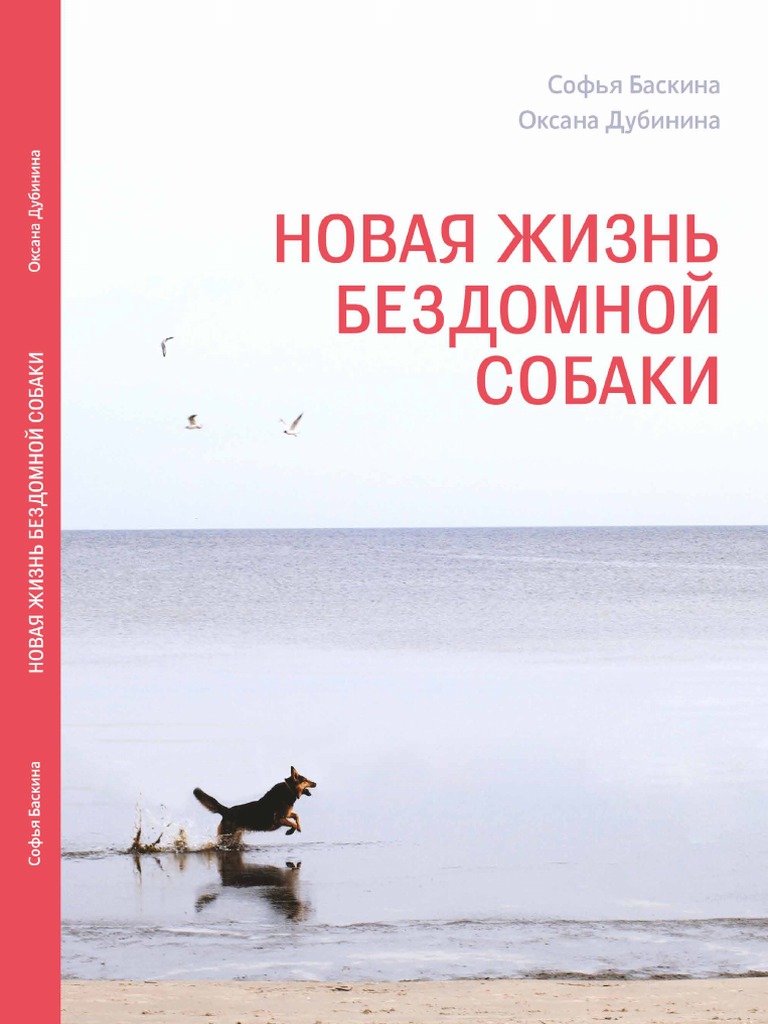 Как натянуть трос для собаки вдоль забора - 97 фото