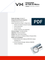 A#10 Proyecto Integrador Entrega Final Prácticas de Auditoría_ MMU, SPB.pdf