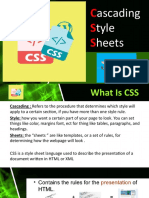 CSS Report