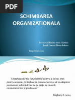 schimbarea-organizationala.pptx
