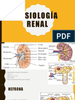 fisiologia renal 
