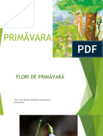 Flori de Primavara - Cunoasterea Mediului