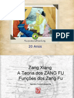 Zang Fu Teoria de Base