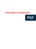 117531640-Enzymes.pdf