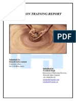 Induction Report PDF