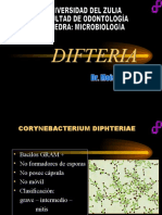 Difteria Mycobacterias