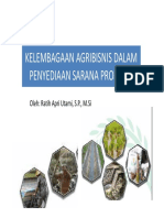 Kelembagaan Agribisnis Saprodi PDF