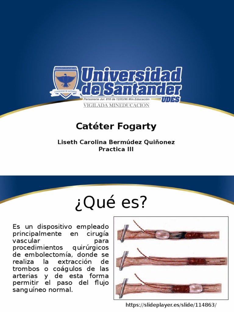 Catéter Fogarty: Uso y Características | PDF | Pierna humana | Medicina ...