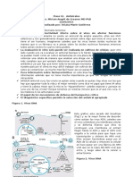 12D. ATB. Antivirales