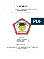 makalah anafisi penciuman dan pengecap.docx