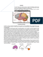 Resumo Anatômico e Fisiológico Do Cérebro (National Institute of Health)