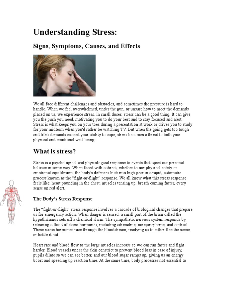 Understanding Stress | PDF | Fight Or Flight Response | Stress (Biology)