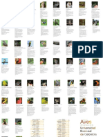 Folding Quide Guia de Aves Del Campus D PDF