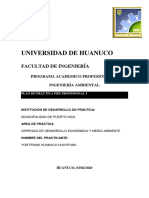 Udh Plan de Practicas. Terminado PDF