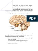 Anatomi Hipothalamus