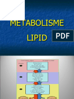 Metabolisme Lipid