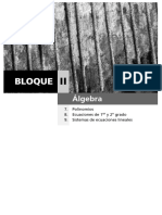 Actividades_extras_polinomios_1202011918.pdf