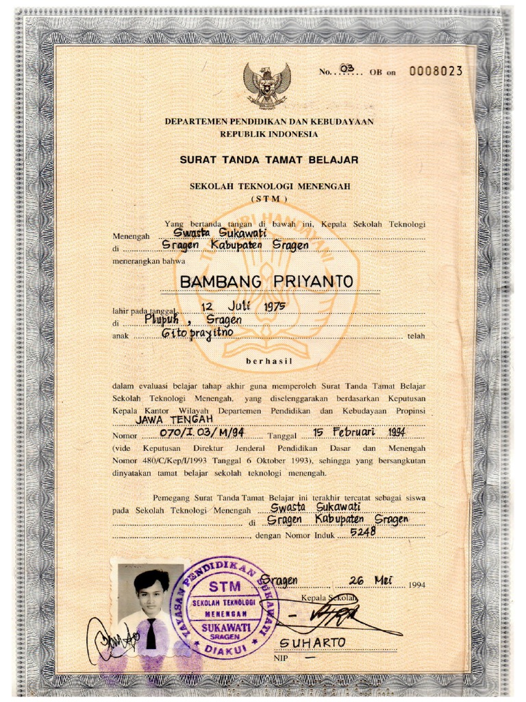 Еркекті жұдырықтайтын қыз