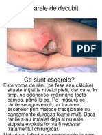 3 Escarele.pdf