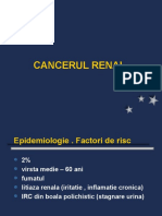 CANCERUL RENAL