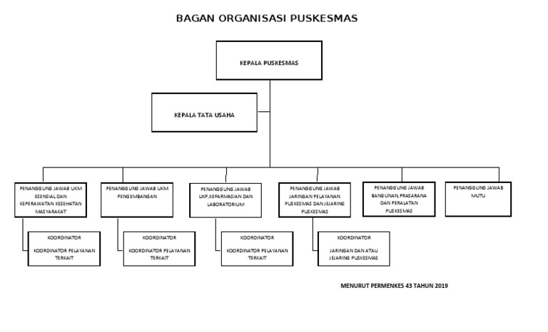 Struktur Organisasi Puskesmas Permenkes 43 TH 2019 | PDF