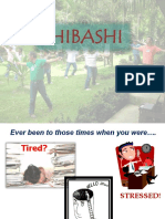 shibashi.pdf