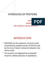 Hydrolysis of Proteins