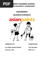 Business Economics Asian Paints Report