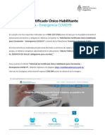 Instructivo Permiso de Circulación PDF
