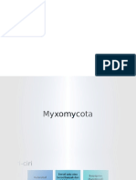 Myxomycota Fixed
