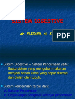 Sistem Digestive