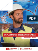 Brochure General Diplomados Mineros PDF