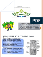 Fixx PPT Kan