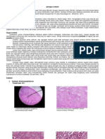 33420_Histologi Jaringan Limfoid.pdf