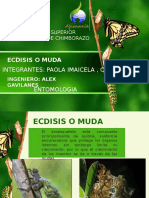 Ecdisis o Muda1