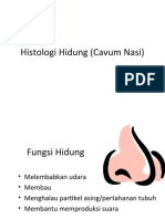 Histo Hidung