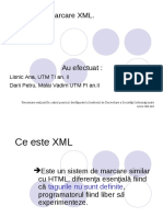 Ce este XMLe.pdf