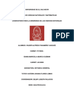El-chichipince investigacion dd.pdf
