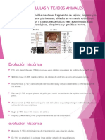 Cultivo de células y tejidos: técnica para mantener fragmentos in vitro