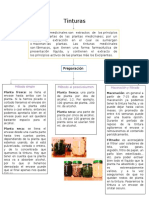 Mapa Conceptual Tinturas