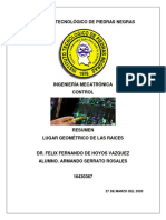 RESUMEN.pdf