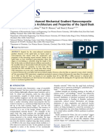 Bioinspired Water Enhanced Mechanical Gradient Nanocomposite Films That Mimic The Architecture and Properties of The Squid Beak